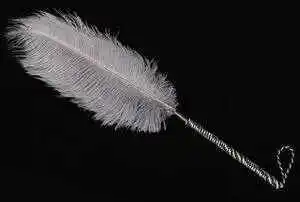 斯慕圈 - 2023_12_10_17_28_IMG_9239