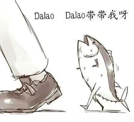 DT：实用指南