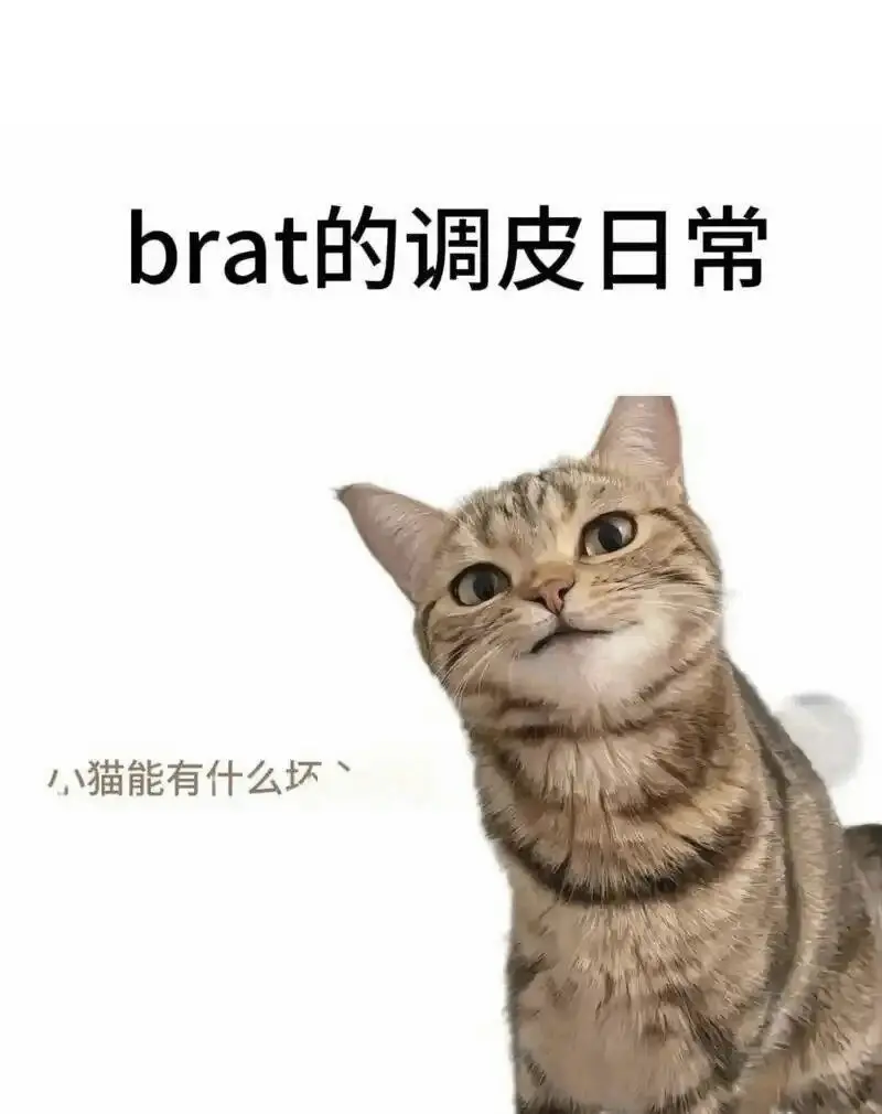西檬之家-DS关系是什么？Letters圈DS角色解析