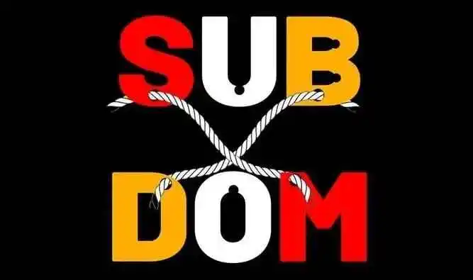西檬之家-新人指南大圈：BDSM基础知识与安全实践