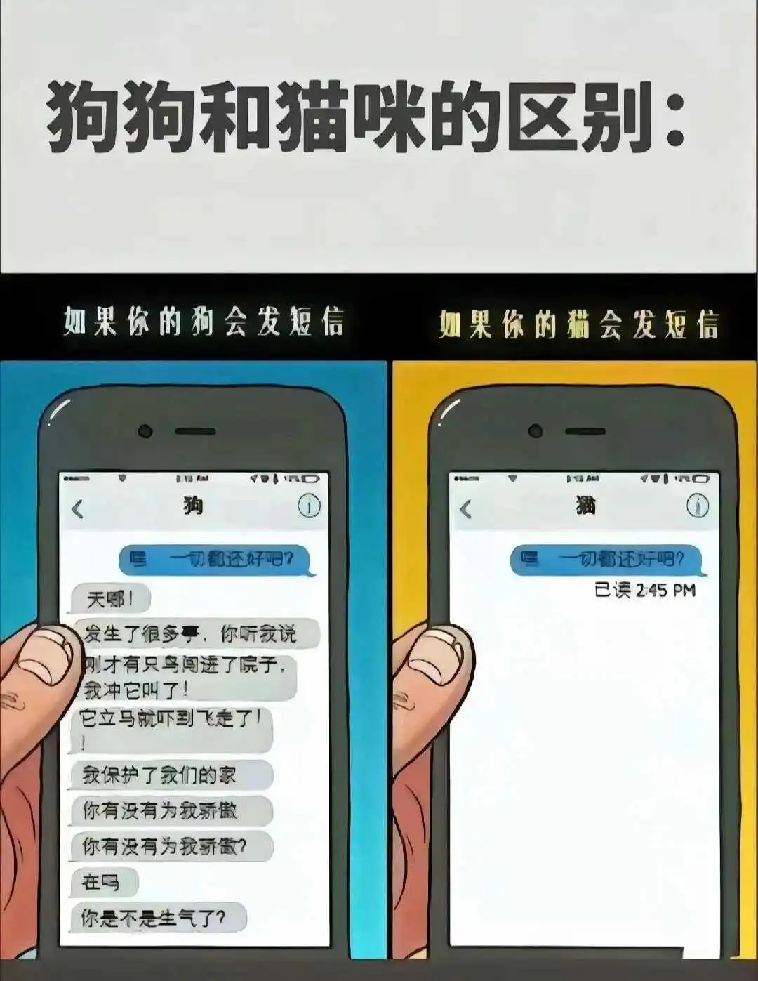 西檬之家-SP是什么？字母圈小圈与大圈解析