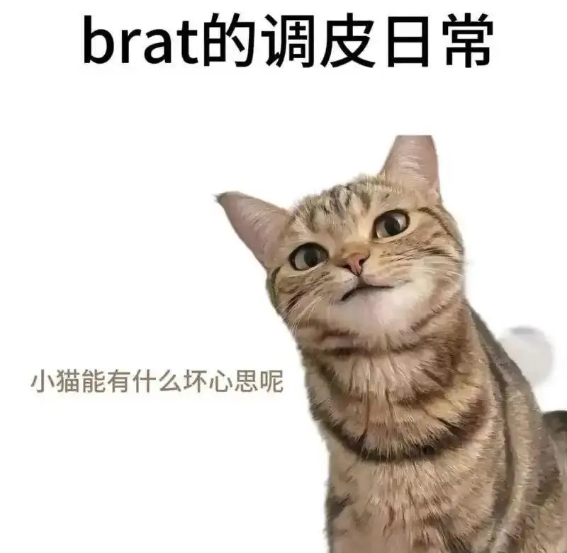 【西檬之家】BDSM管教是什么？字母圈新人入圈指南