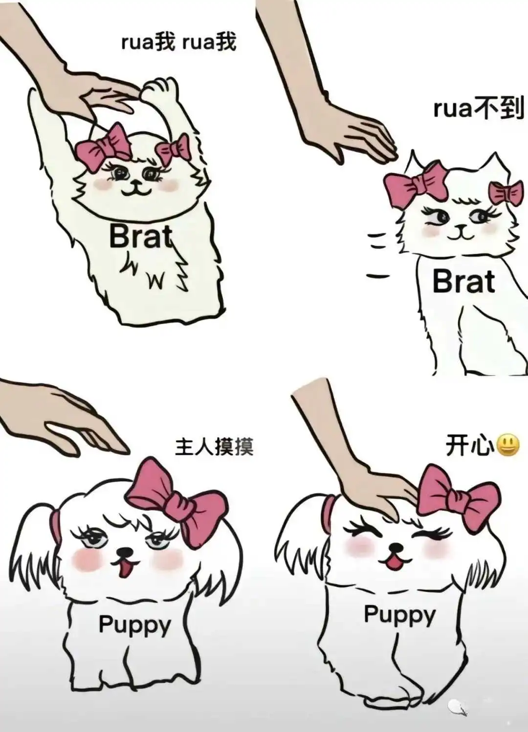 西檬之家-BDSM字母圈新人权威指南