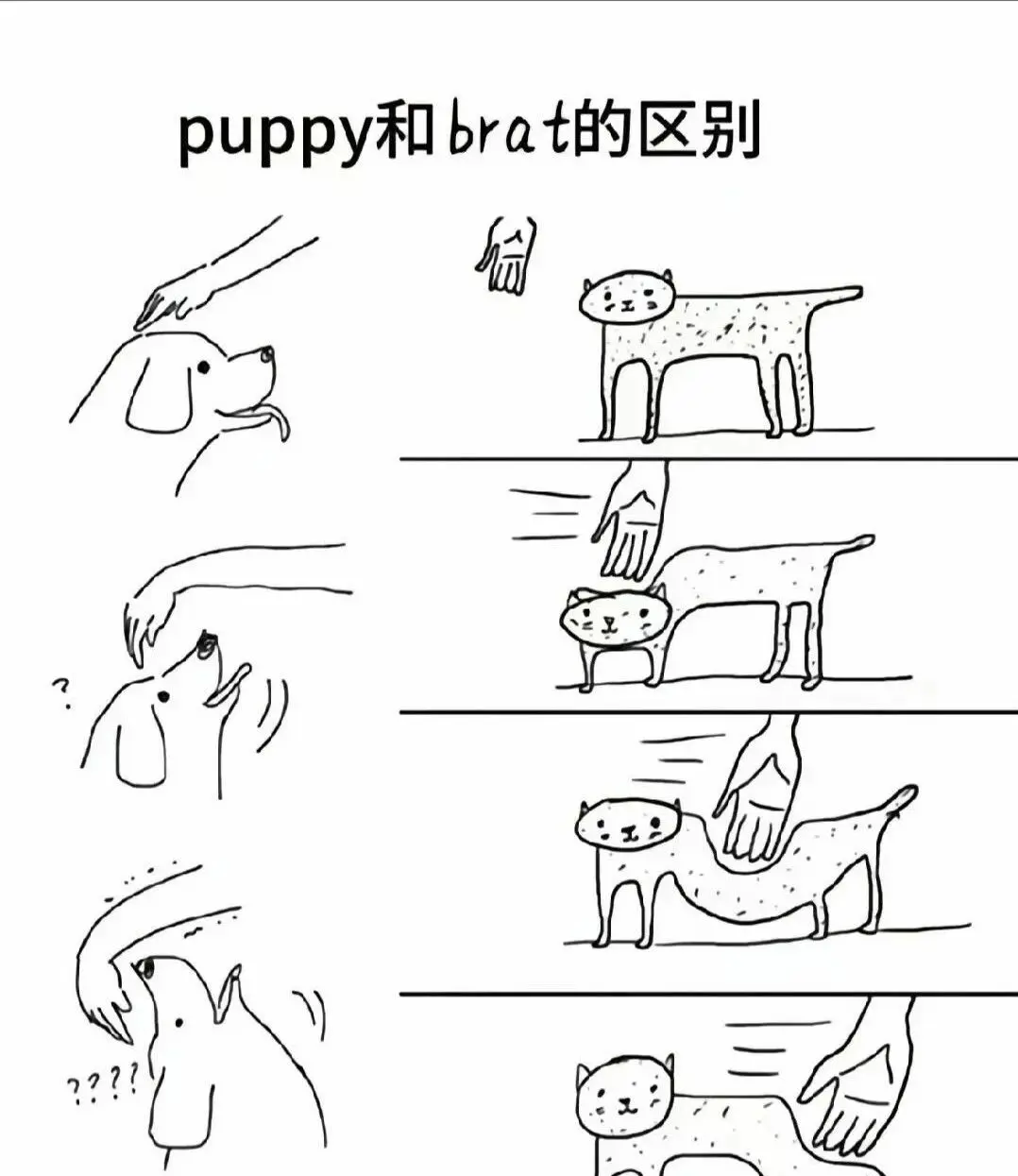 西檬之家-字母圈的K8猫系是什么？